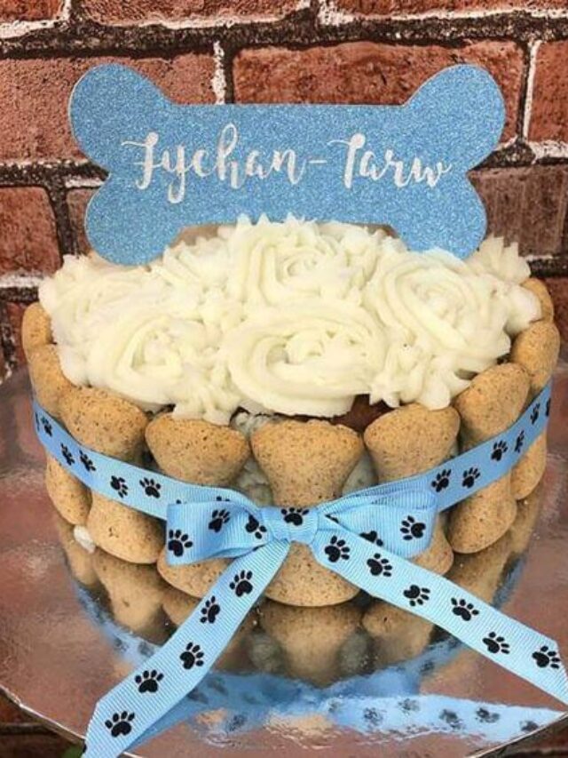 Receita de Bolo Caseiro para Cachorro: Um Mimo Cheio de Amor!